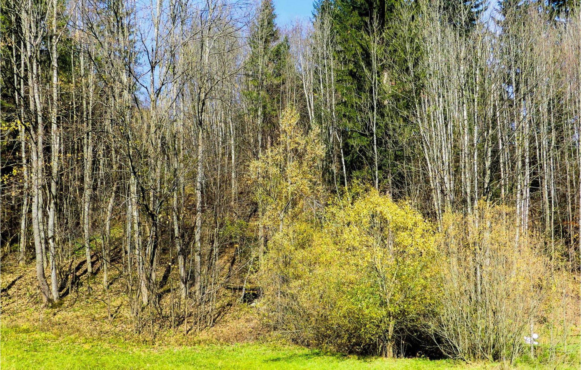 Ferienwohnung-Annaberg Bagian luar foto